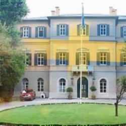 İNOSAM'dan İsveç Büyükelçiliği önünde protesto daveti