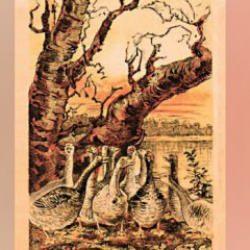 Farklı bakış açısı isteyen zeka testi: Deneyenlerin sadece %3'ü resimdeki gizli tilkiyi 10 saniyede buldu!