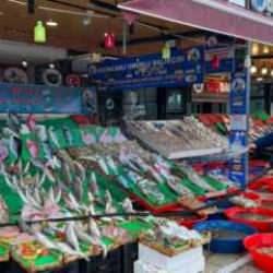 İstanbul'da en ucuz balığın kilosu 60 TL!
