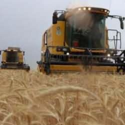 Tarım sektöründen ihracatta ocak rekoru