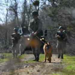 Sınır hattında teröristlere geçit yok: 24 şüpheli yakalandı!