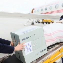 Cumhurbaşkanlığına ait 2 uçak deprem bölgesi için tahsis edildi