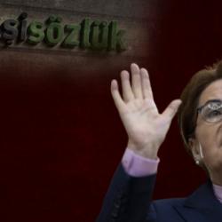Meral Akşener, Ekşi Sözlük'e sahip çıktı