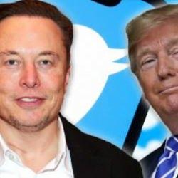 Twitter dosyalarının 16'ncı serisi yayınlandı: Ana akım medyadan Trump'a &ccedil;ifte standart