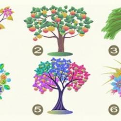 Baskın özelliklerinizi ölçen kişilik testi: Sonucu görünce şok olacaksınız!