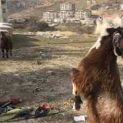 Enkazdan 21 g&uuml;n sonra kurtarıldılar