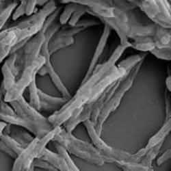 Bilim insanları, havadan elektrik üretmenin yolunu buldu