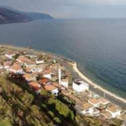 111 yıldır 'uyuyan canavar' buradan karaya &ccedil;ıkıyor! Bu k&ouml;y korkuyla yaşıyor