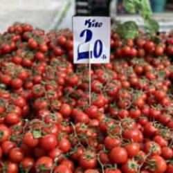 İhracat kısıtlaması getirilen domatesin fiyatı yüzde 40 düştü