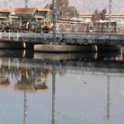 İzmir, bu yıl erken kokmaya başladı