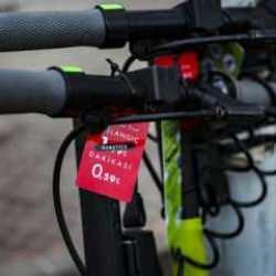 Mahkemeden "Martı TAG" ve "Martı Motosiklet"e erişim engeli kararı geldi