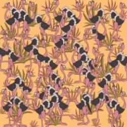 Yüksek zekalıların çözebildiği zeka testi: 8 saniyede deve kuşlarının arasındaki şemsiyeyi bul!