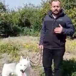 Konteyner almak isteyen depremzedeyi dolandırdılar