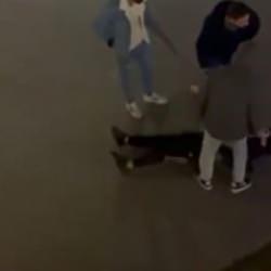 Pitbull 13 yaşındaki &ccedil;ocuğa saldırdı