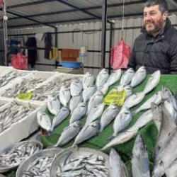  Zonguldaklı balıkçıların yüzünü palamut güldürdü
