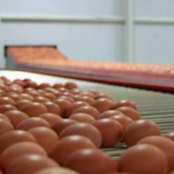 Tarım ve Orman Bakanlığı'ndan nitrofuranlı yumurta açıklaması