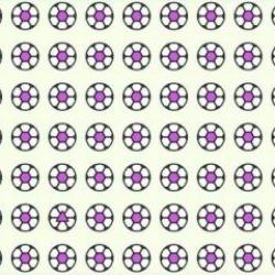 Zeka testi: Resimdeki farklı topu 11 saniyede yalnızca IQ'su yüksek olanlar bulabiliyor!