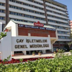 ÇAYKUR 1365 kamu işçisi alıyor! Kadrolar, kriterler ve İŞKUR başvuru sayfası...