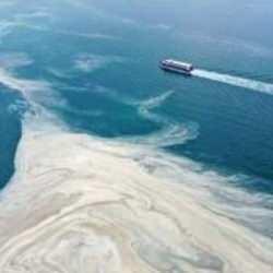 Şartlar korkutuyor! 2021'deki tehlike yine kapıya dayandı