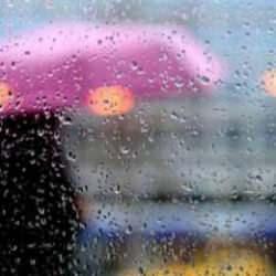 Son dakika: B&uuml;y&uuml;k tehlike konuşulurken yeni raporla m&uuml;jdeli haber geldi!