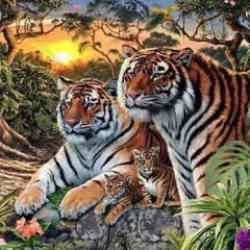 Dedektif olacağınız zeka testi: Ormandaki 16 kaplanı 21 saniyede görebilen %4’lük dilime giriyor!