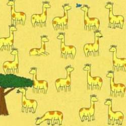 IQ ölçen zeka testi: Deneyenlerin yüzde 97'si 25 saniyede eşi olmayan zürafayı bulamıyor!