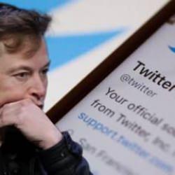 Uzmanlar uyardı: Mavi tik tehdidi tüm dünyayı sarıyor! İşte mavi tik ile ilgili bilinenler