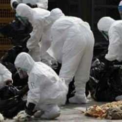 &Ccedil;in'den DS&Ouml;'ye korkutan bildiri: Vir&uuml;s&uuml;n bulaştığı bir kişi &ouml;ld&uuml;!