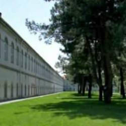 Yıldız Teknik &Uuml;niversitesi'nde başıboş k&ouml;pek rezaleti: Gen&ccedil; kız kafa travması ge&ccedil;irdi!