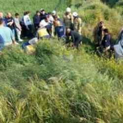 Otomobil şarampole yuvarlandı: 1 &ouml;l&uuml;, 3 yaralı