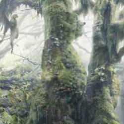 Sadece üstün zekalılar çözebiliyor: Resimdeki hayvanların hepsini 12 saniyede görebilecek misin? Testte toplam kaç hayvan var?