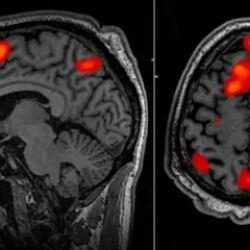Bilim kurgu değil, ger&ccedil;ek... Yapay zeka artık niyet okumaya başladı!