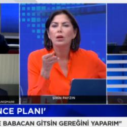 CHP yandaşı Şirin Payzın AK Parti'nin reklamlarından rahatsız oldu