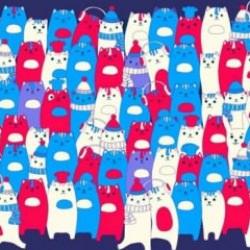 Kedilerle dolu ortamda bir tavşan saklanıyor! Gizlenmiş tavşanı bulmanız için sadece 7 saniyeniz var! Deneyenlerden sadece %1'i tavşanı buldu