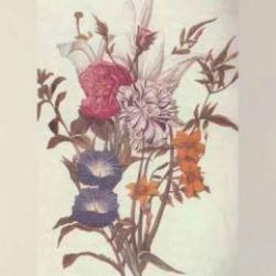 Keskin bakışlardan kaçmayacak zeka testi! 12 saniyede çiçeklerin arasına gizlenmiş 5 yüzü deneyenlerden sadece %3'ü bulabildi