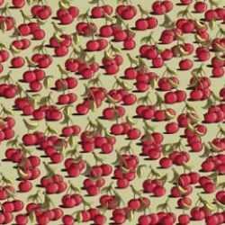 Kirazların arasındaki domatesi 9 saniyede yalnızca yüksek zekalılar bulabiliyor! Zorlayıcı zeka testi ile gerçekleri kanıtlama vakti!