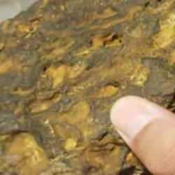 Kırklareli&rsquo;de doğa y&uuml;r&uuml;y&uuml;ş&uuml; yaparken g&ouml;ktaşı buldular