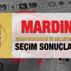 Mardin seçim sonuçları açıklandı! AK Parti, CHP, MHP, İYİ Parti, TİP ve Yeşil Sol Parti oy oranları