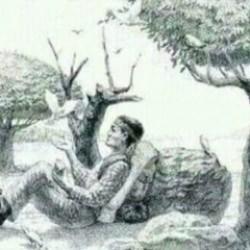 Ormanın içindeki gizli atı 7 saniyede görebilen oldukça az! Şahin gözlü avlayan zeka testi!