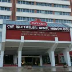 ÇAYKUR 60 KPSS ile personel alımı yapıyor! Başvurular İŞKUR üzerinden