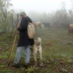 Ke&ccedil;ileriyle olan iletişimi g&ouml;renleri şaşırtıyor
