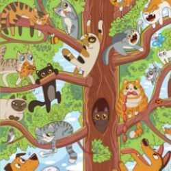 Kedilerin arasına gizlenmiş kurbağayı 7 saniyede görebilecek misiniz? Avcı olanların kendini belli edeceği zeka testi!