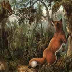 Ormanda 10 gizli yüz var! 20 saniyede 10 gizli yüzü bulmaya cesaretiniz var mı? Zeka testi ile kendini kanıtla!