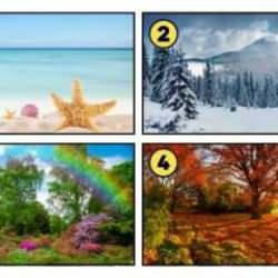 Hangi mevsim insanısınız? Seçtiğiniz mevsim kişilik özelliklerinizi anlatacak!