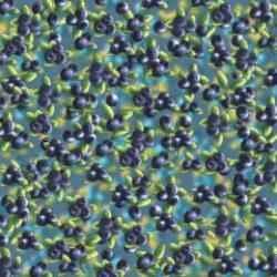 9 saniyede yaban mersinleri arasındaki karıncayı bul! Zeka testi ile dikkatinizi ölçün