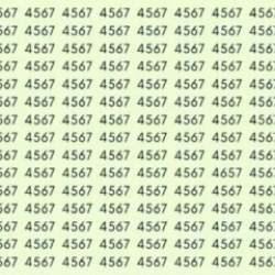 4567 sayılarının arasındaki 4657'yi bulurken gözleriniz bulanıklaşacak! 6 saniyede zeka testindeki 4657'yi bulan kartal gözlüdür