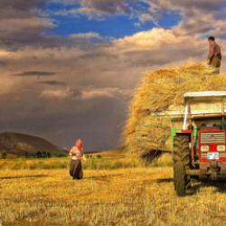 Mazot ve gübre desteği ne zaman verilecek? Çiftçi kayıt sistemi başvurusu nasıl yapılır?