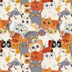 Kedilerin arasındaki sosisi 4 saniyede görebilecek misiniz? Görsel zekanızı kanıtlama vakti