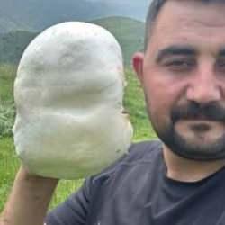 Emirdağ yaylalarında ortaya &ccedil;ıktı!