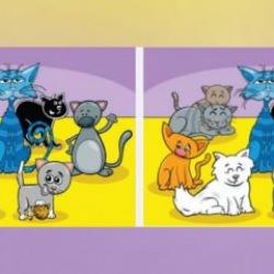 Tüm ayrıntıları görmeniz gereken zeka testi! İki resim arasındaki 6 farkı 13 saniye yalnızca keskin bakışlılar görebiliyor